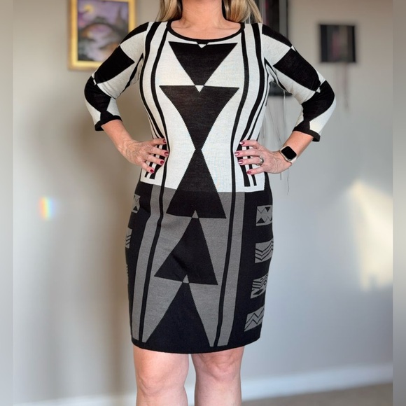 The Limited Black and Gray Long Sleeve Dress - Picture 2 of 13